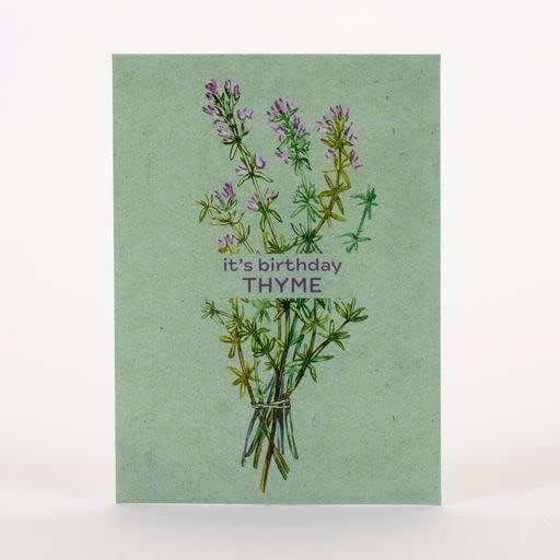 It's Birthday Thyme - Thyme Seed Packets - 25 Packets - Herb Seeds - Garden Seed to Grow Live Plants - A Beautiful Valentines Gift - Bentley Seed Co.
