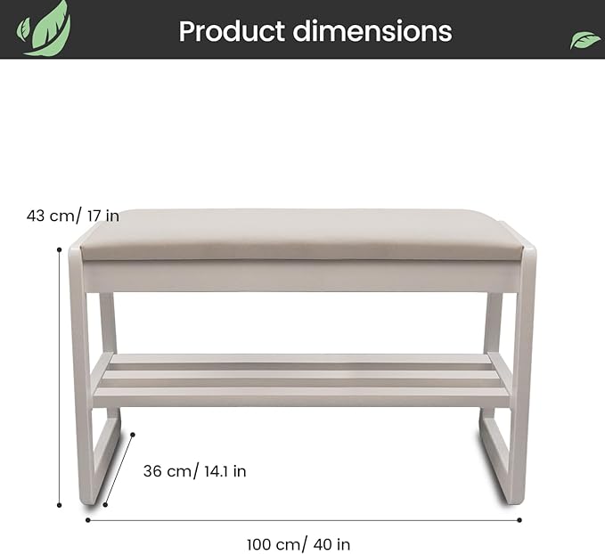 Solid Wood Shoe Rack, 2 Tier Shoe Storage Bench with Cushion Seat, 10 Pair Shoe Organizer for Entryway, White, 39 Inch