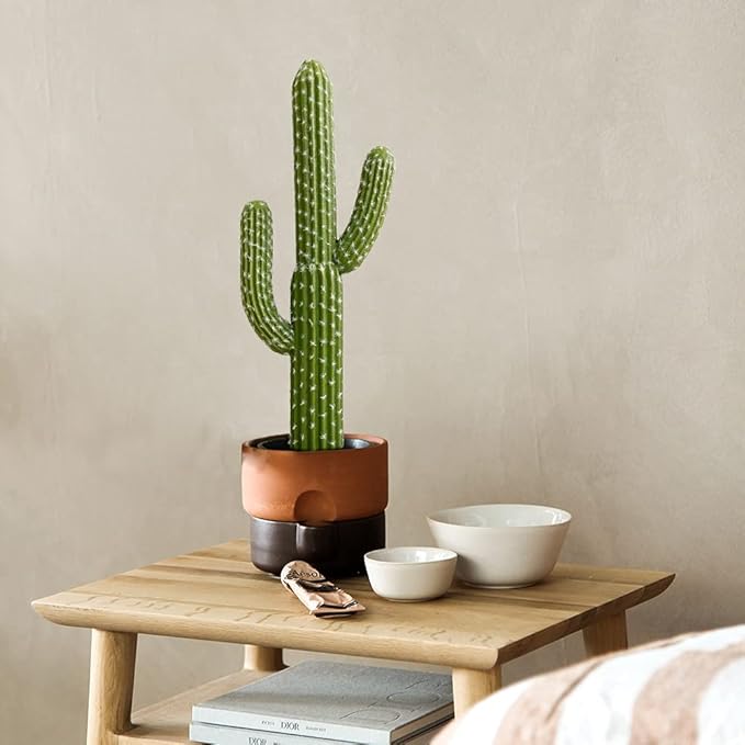 momoplant Artificial Cactus Succulent Plant, 24 Inch Tall Faux Fake Desert Cacti Plant with Black Planter for Home Garden Office Floor Decor
