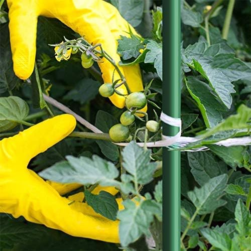 Garden Stakes 5/16" Dia, 5 FT FRP Plant Supporting Stakes for Climbing Tomato Cucumber Strawberry Bean Tree, Pack of 20, Dark Green