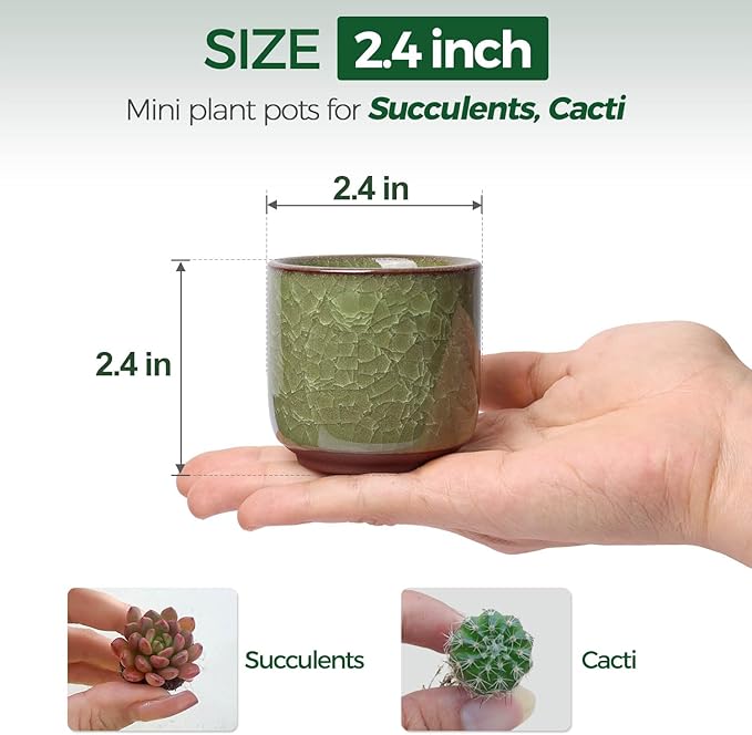 T4U 2.5 Inch Small Ceramic Succulent Planter Pot with Drainage Hole Set of 6, Ice Crack Glaze Plant Container for Cactus, Succulent Plant Gifts for Women Mom Aunt Home Office Decor