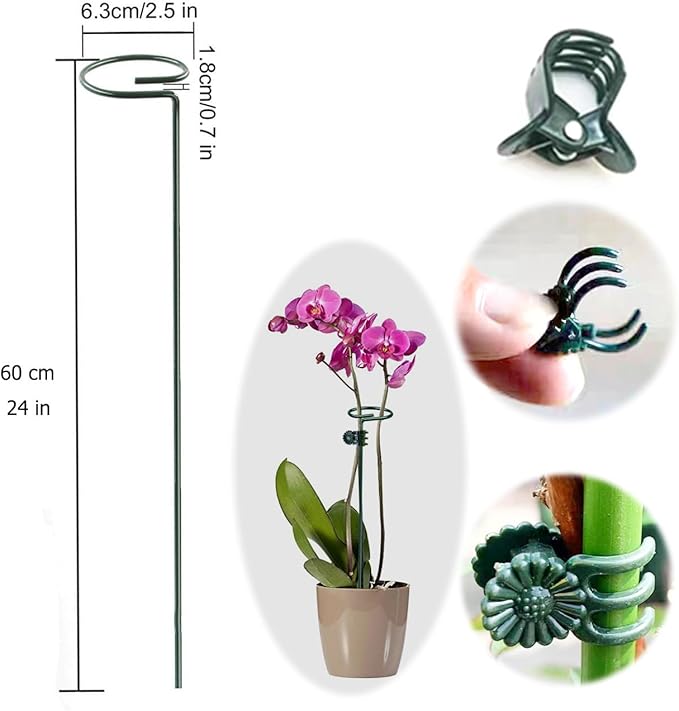 10 pcs 24 inch Metal Single Stem Flower Plant Support Stakes and Rings for Amaryllis Orchid Lily Sunflower Rose Narcissus