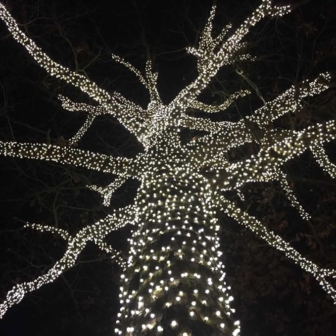 Novelty Lights 25ft Christmas String Lights, 50 Pure White LED Bulbs on Black Wire, 6" Spacing, Connectable Indoor Outdoor Commercial Grade Lighting for Holidays Patio Weddings