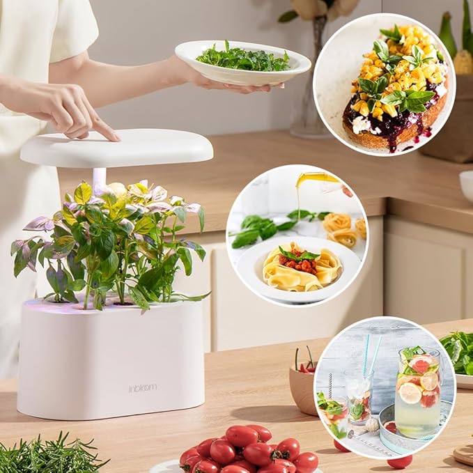 inbloom Gourmet Herb Seed Pod Kit for AeroGarden, iDoo, Ahopegarden with Basil, Parsley, Cilantro, Chrysanthemum, Pak Choi, Crystalline Ice Plant, Onion, Hydroponics Growing System Supply (12-Pod)