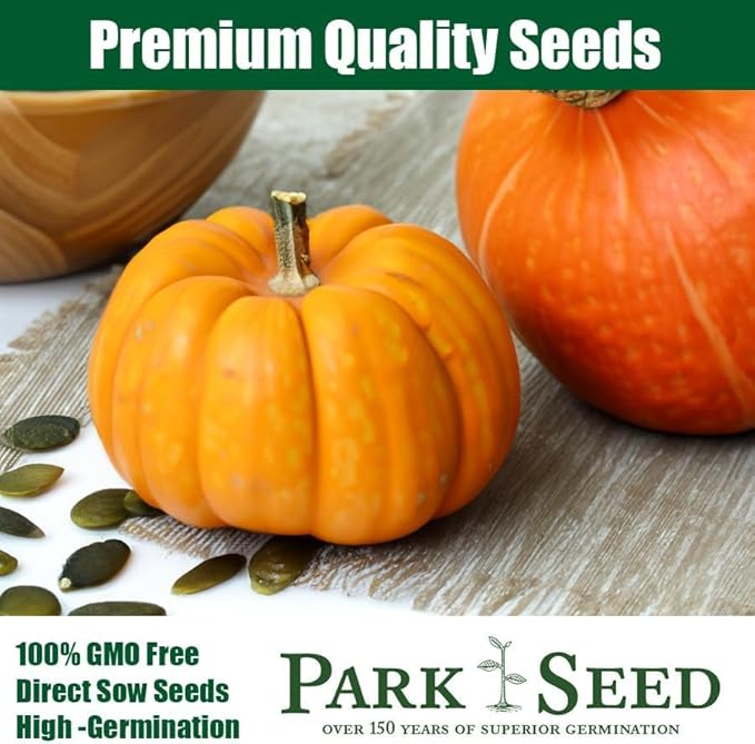 Park Seed Howden Pumpkin Seeds – Non-GMO, Classic Deep Orange Pumpkins for Carving & Display, High-Yielding Plants, 20–30 lb Fruits, Ribbed Halloween Favorite, Pack of 25