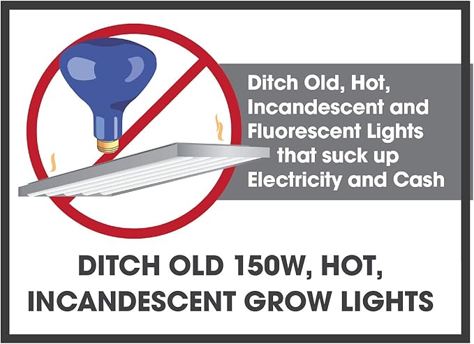 Miracle LED Absolute Daylight Spectrum, Ultra Grow Lite 2-Pack, 12W (604868)
