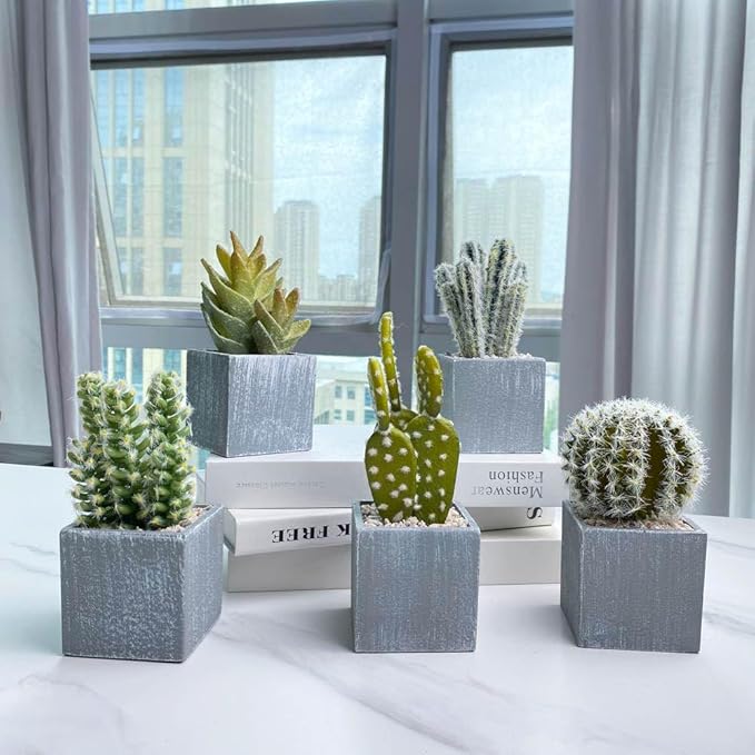 Cactus Artificial Plants in Gray Pots, Realistic Faux Cactus Potted Décor for Home, Office, Kitchen, Living Room, Desk, Shelf, and Indoor Decoration (Cylinder)