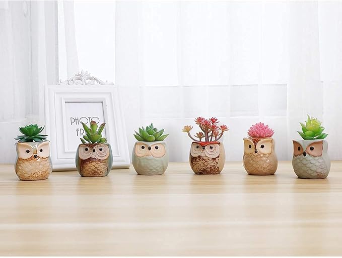 T4U 2.5 Inch Owl Ceramic Succulent Planter Pots with Drainage Hole Set of 6, Mini Cute Flower Pots Tiny Plant Holder Container Best for Home Office Garden Decoration Owl Gift Ideas