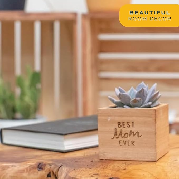 Costa Farms Echeveria, Mini Succulent Plant in Best Mom Ever Wood Decor Planter, Live Indoor Houseplant in Cute Cactus Decor, Housewarming, Birthday Gift