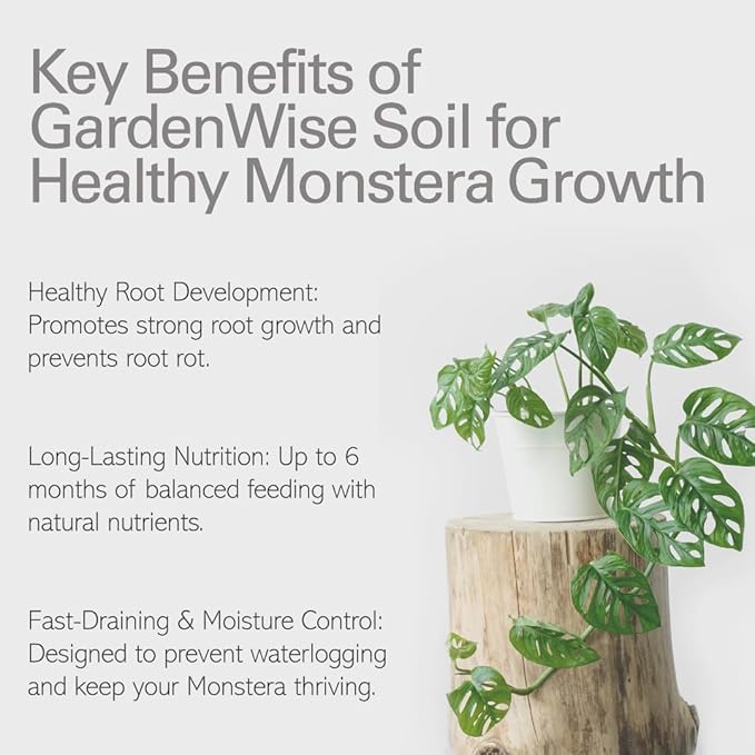 Monstera Potting Soil Mix – Organic, Fast-Draining, Chunky Soil with Coconut Coir & New Zealand Bark for Indoor Plants – Premium Fertilizer for Monstera Deliciosa, Albo & More (3 quarts)