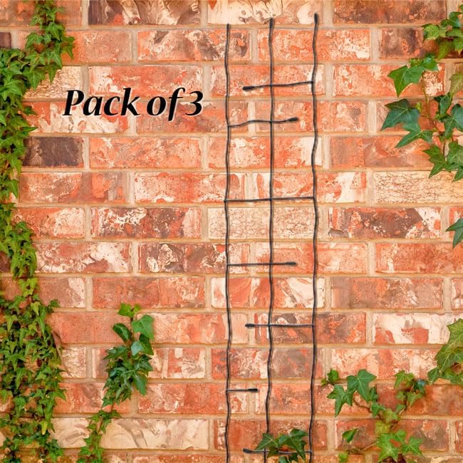 Panacea 89484 Black Forged Narrow Twig Trellises, Pack of 3 – 72" H Metal Garden Trellises with Twisted Rod & Leaf Design – Durable Outdoor Plant Supports for Climbing Vines, Flowers & Vegetables