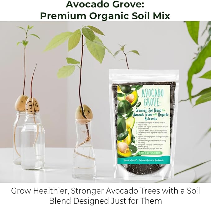 Avocado Tree Soil – Premium Organic Potting Mix for Avocado Trees | Tailored pH & Organic Nutrients | Fast-Draining & Moisture-Retaining | Indoor & Outdoor Use (1 Quart)