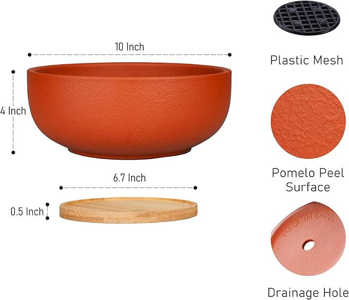 SQOWL 10 Inch Large Terracotta Planter Pot,Clay Succulent Bonsai Planter with Drainage Hole and Bamboo Saucer for Indoor Plants