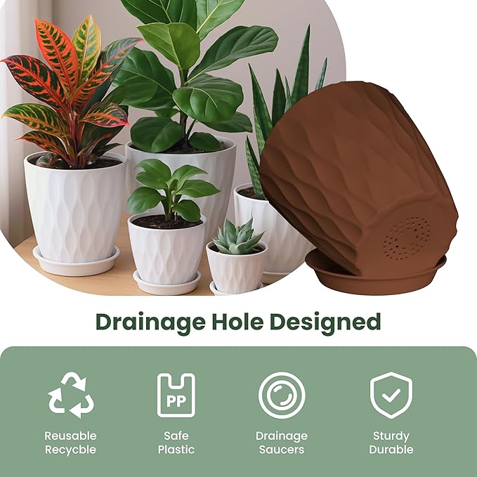 Plastic Plant Pots with Drainage Holes and Saucers, 8/7/6/5/4 Inches Garden Plant Flower Pots for Indoor Planter, 5 Pack Nursery Planting Pot for Indoor & Outdoor House Plants (Multicolor, 8/7/6/5/4)