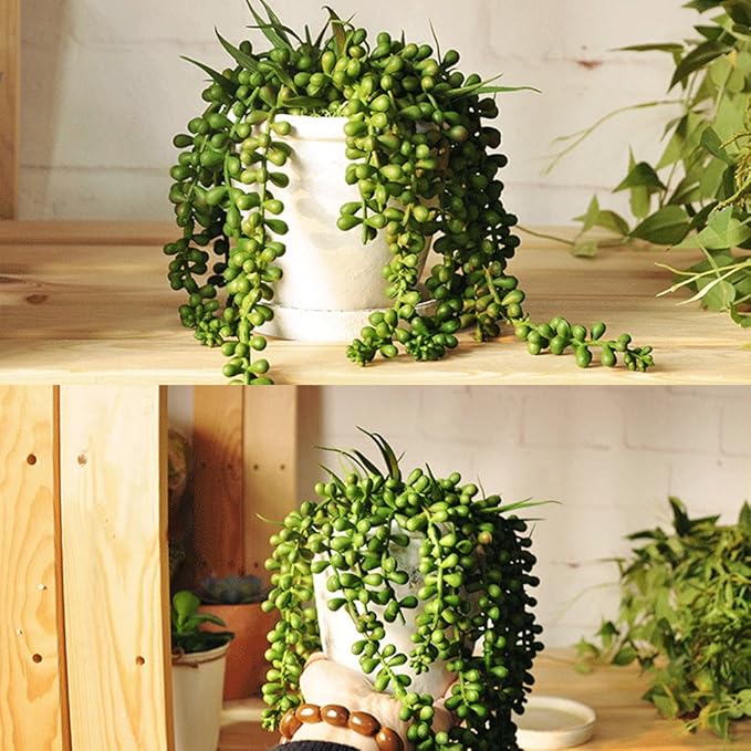 HUIANER Artificial Succulent Plants, 13.4" Fake Hanging String of Pearls Simulation Greenery Plants for Christmas Wall Home Kitchen Office Garden Wedding Decor, Pack of 2