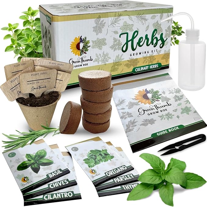 Herb Garden Kit Indoor, Non-GMO Herb Seeds, Native Planting Soil, Gardening Gifts for Women and Men, Complete 6 Herb Starter Kit, Kitchen Window Herb Garden, DIY Grow Plants at Home, Herb Growing Kit