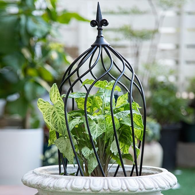 23-Inch Metal Obelisk Trellis for Climbing Plants | Sturdy Iron Design, Ideal for Outdoor Roses and Potted Vines | Easy Assembly, Compact Vertical Garden Decor for Indoor & Outdoor Use