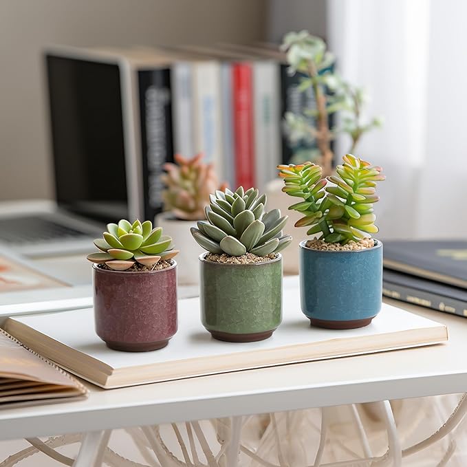 T4U 2.5 Inch Small Ceramic Succulent Planter Pot with Drainage Hole Set of 6, Ice Crack Glaze Plant Container for Cactus, Succulent Plant Gifts for Women Mom Aunt Home Office Decor