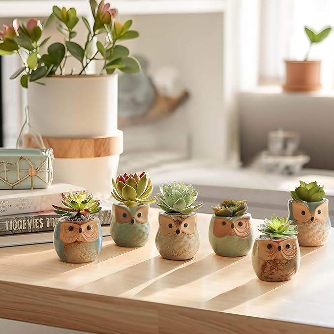 T4U 2.5 Inch Owl Ceramic Succulent Planter Pots with Drainage Hole Set of 12, Mini Cactus Pots Tiny Cute Plant Holder Container Best for Home Office Decor Gardening Gift