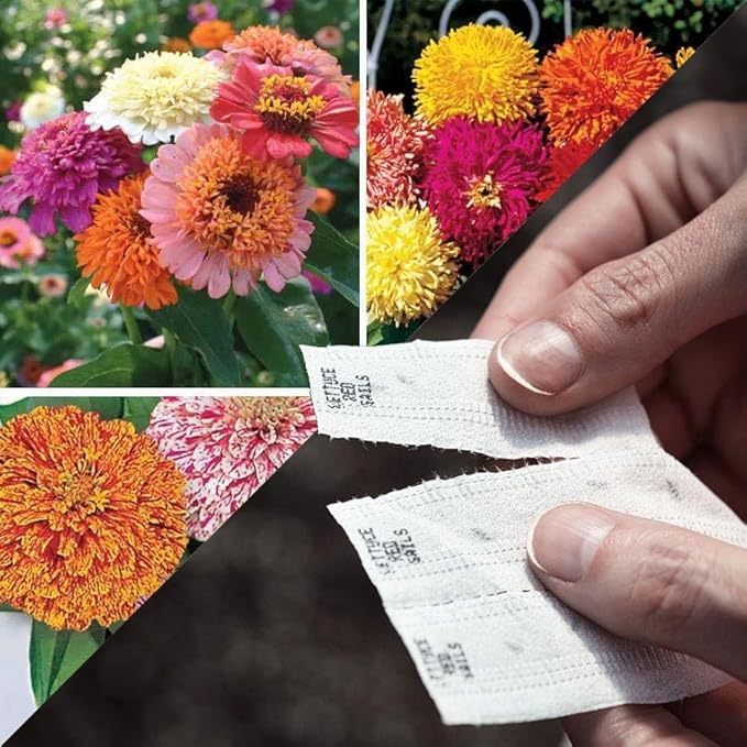 Park Seed Sow Effortless Collection Seed Tape – Zinnia Collection, 15 Feet – Easy DIY Planting, Fancy Double Blooms, Colorful Cut-and-Come-Again Annuals for Garden Beds & Bouquets, No Thinning Needed