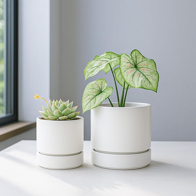 Phoenix Vine 4 Inch and 6 Inch Planter Pot with Drainage Hole & Deep Water Catch Tray Saucer, Straight Cylindrical Round Pot for Plants, Matte White, 23-A-1-Z