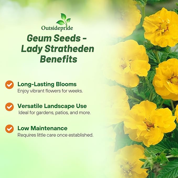 Outsidepride Lady Stratheden Geum Seeds - 1000 Pcs Easy to Grow Perennial Flower Seeds for Planting with Vibrant Blooms Attractive to Pollinators, for Cut Flower Arrangements, Borders, & Flower Beds