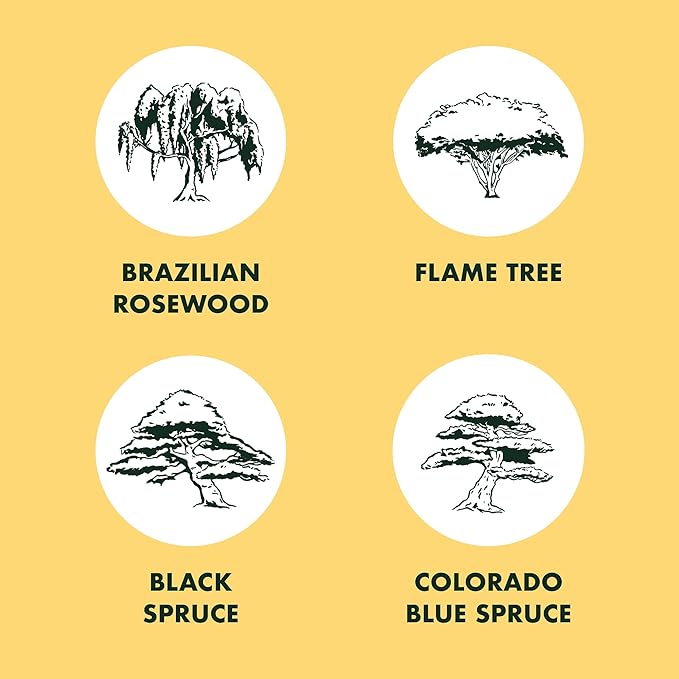 Garden Republic Bonsai Tree Kit - Mini Bonsai Seeds, 4 Types - Seed Starter Plant Growing Kit - Potting Soil Jute Bags Pruning Shears Scissor Tool Plant Markers - Gardening Gifts