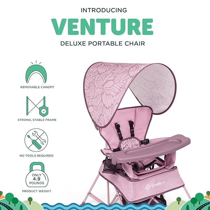 Baby Delight Go with Me Venture Portable Chair | Indoor and Outdoor | Sun Canopy | 3 Child Growth Stages | Canyon Rose