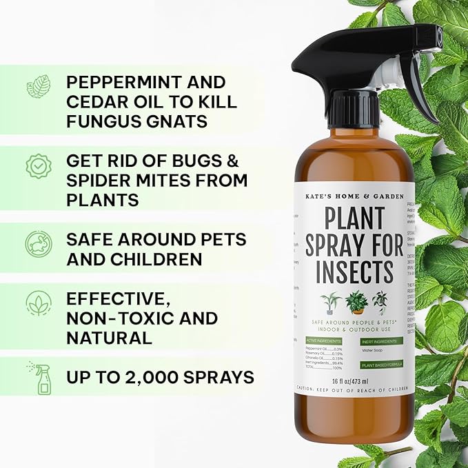 Kate's Home & Garden Plant Spray for Insects & Getting Rid of Gnats with 12 Sticky Traps. Fungus Gnat Killer & Bug Spray for Indoor Plants (16oz, Peppermint, Pet Safe, Non Toxic)