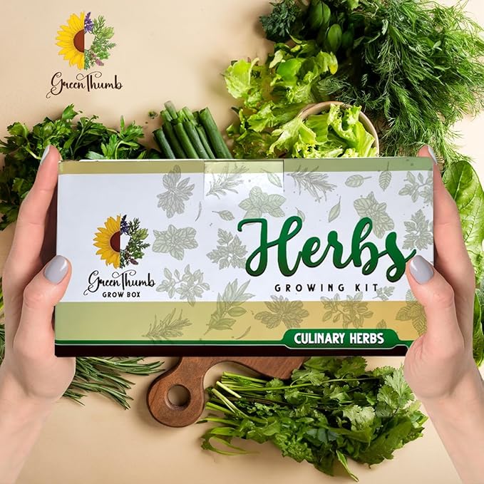 Herb Garden Kit Indoor, Non-GMO Herb Seeds, Native Planting Soil, Gardening Gifts for Women and Men, Complete 6 Herb Starter Kit, Kitchen Window Herb Garden, DIY Grow Plants at Home, Herb Growing Kit