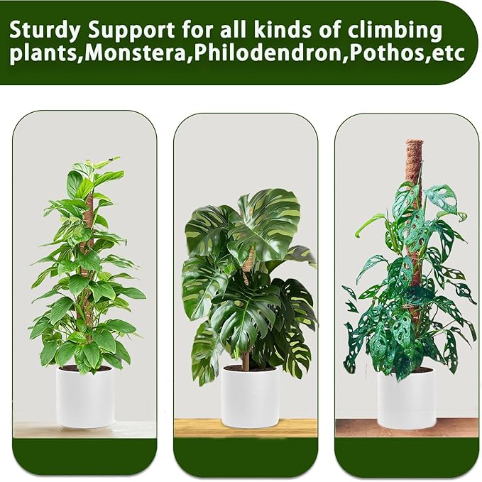 Moss Pole, 2 Pack 17 Inch Monstera Plant Support for Climbing Plants Accessories Indoor, Stackable Moss Poles Plant Support Stakes, Coir Plant Pole Sticks for Potted Plants, Pothos, Philodendron