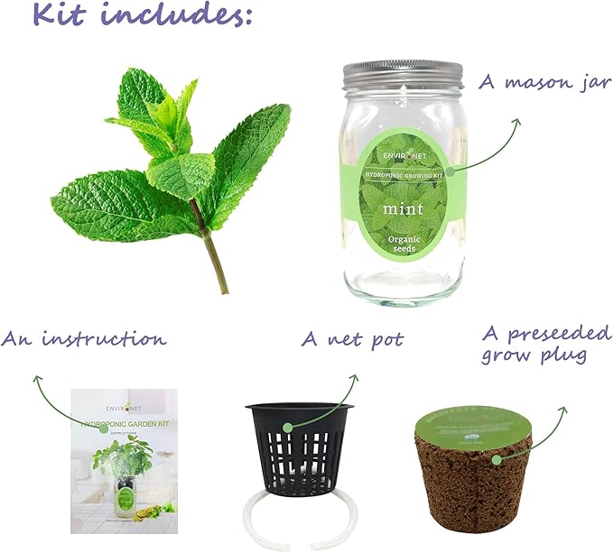Hydroponic Herb Growing Kit, Self-Watering Mason Jar Herb Garden Starter Kit Indoor, Window Herbs Garden, Grow Your Own Herbs from Organic Seeds (Mint)