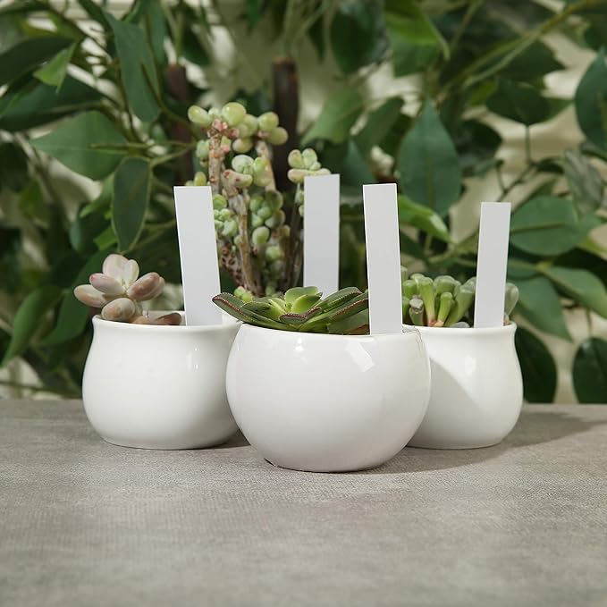 1000 Pcs Plant Tags, 4 Inch Plastic Garden Plant Pot Markers Waterproof Plant Label, White