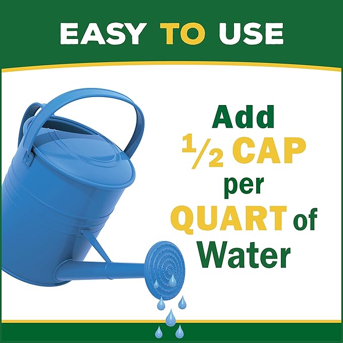 Espoma Organic Cactus Soil Mix 4qt Bag and Cactus! Liquid Plant Food Concentrate 8oz Bottle. Use for Cactus & Succulents - for Organic Gardening - Combo Pack