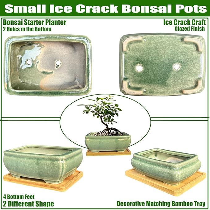 MUZHI 2pcs Green Ceramic Bonsai Planter Pots with Bamboo Tray 6.2 “ & 5.3”, Rectangular Glazed Bonsai & Succulent Cactus Starter Pot with Drainage Ice Crack Design