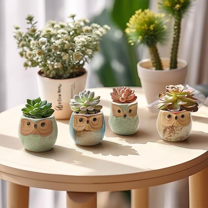 T4U 2.5 Inch Owl Ceramic Succulent Planter Pots with Drainage Hole Set of 12, Mini Cactus Pots Tiny Cute Plant Holder Container Best for Home Office Decor Gardening Gift