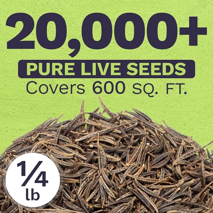 Dazzler Cosmos Wildflower Seeds - Bulk 1/4 Pound Bag - Over 20,000 Fresh Open Pollinated Non-GMO Flower Seeds - Stunning Bright Petals - Drought Tollerant