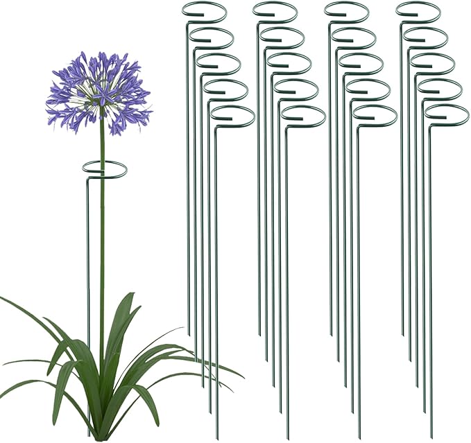 36 Inch 20 Packs Plant Support Stake Garden Single stemmed Plant Support Hoops Plant Prop for Flowers Orchid Tomatoes Peony Lily Rose Gladiolus (36 inch)