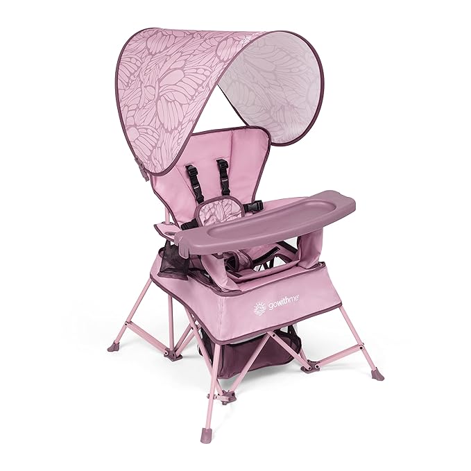 Baby Delight Go with Me Venture Portable Chair | Indoor and Outdoor | Sun Canopy | 3 Child Growth Stages | Canyon Rose
