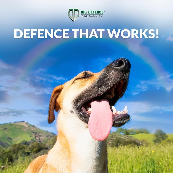 Dig Defence Original Animal Barrier Fence - Large Decorative Garden Fence, Outdoor No Dig Fence for Dogs and Rabbits, Yard and Patio - 32”(L) x 10”(H), 6 Pack
