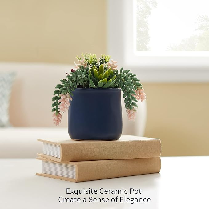 Artificial Succulent in Ceramic Pots, 2 Packs Large Faux Fake Plants Navy Blue for Desk,Office, Bedroom, Living Room, Bathroom Office Shelf Home Décor