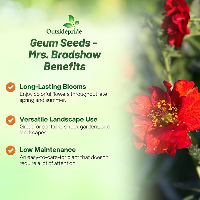 Outsidepride Mrs. Bradshaw Geum Seeds - 1000 Pcs Easy to Grow Perennial Flower Seeds for Planting with Vibrant Blooms Attractive to Pollinators, for Cut Flower Arrangements, Borders, & Flower Beds