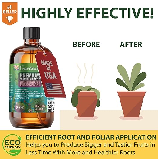 GARDENERA Premium Organic Seaweed & Kelp Superfood for Bamboo Plants - 32 oz - Liquid Kelp Fertilizer Concentrate (Makes 180 Gallons)