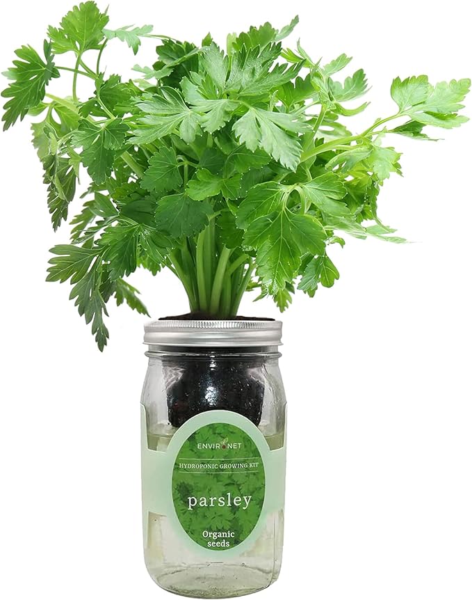 Hydroponic Herb Growing Kit, Self-Watering Mason Jar Herb Garden Starter Kit Indoor, Windowsill Herbs Garden, Grow Your Own Herbs from Organic Seeds (Parsley)