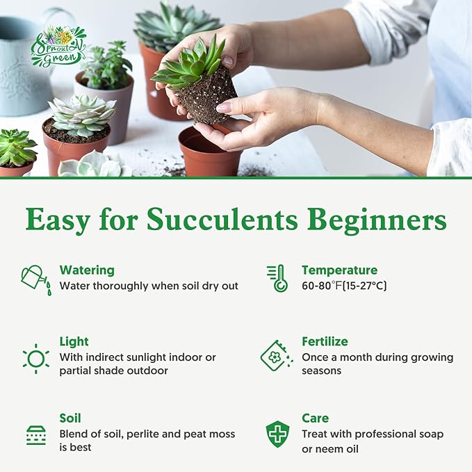 Sprout N Green 4" String of Pearls with Vintage Metal Pot, Live Trailing Succulent House Plant for Home Office Wedding Hanging Decoration, DIY Projects, Party Favor