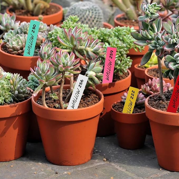 Foraineam 1000 Pcs 4 Inches Plant Labels Plastic Plant Tags Nursery Garden Labels Pot Marker Garden Stake Tags (Pack of 2)