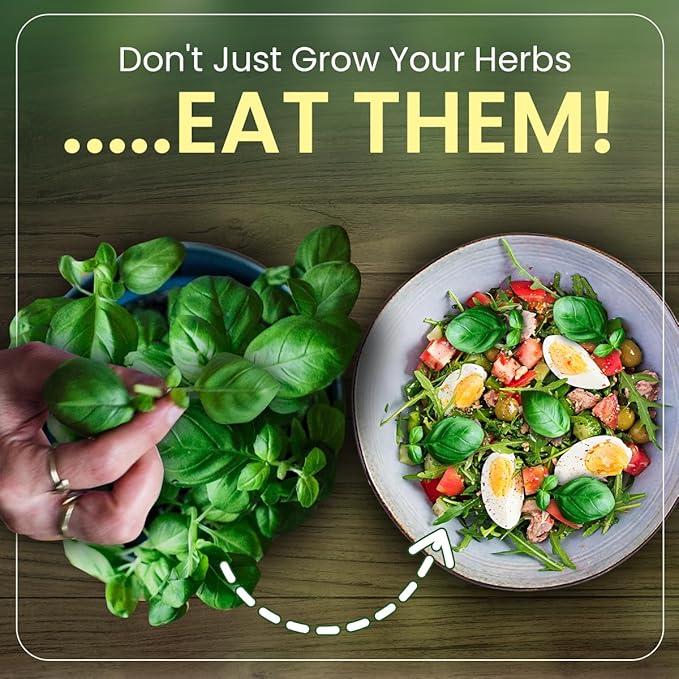 Herb Garden Kit Indoor, Non-GMO Herb Seeds, Native Planting Soil, Gardening Gifts for Women and Men, Complete 6 Herb Starter Kit, Kitchen Window Herb Garden, DIY Grow Plants at Home, Herb Growing Kit
