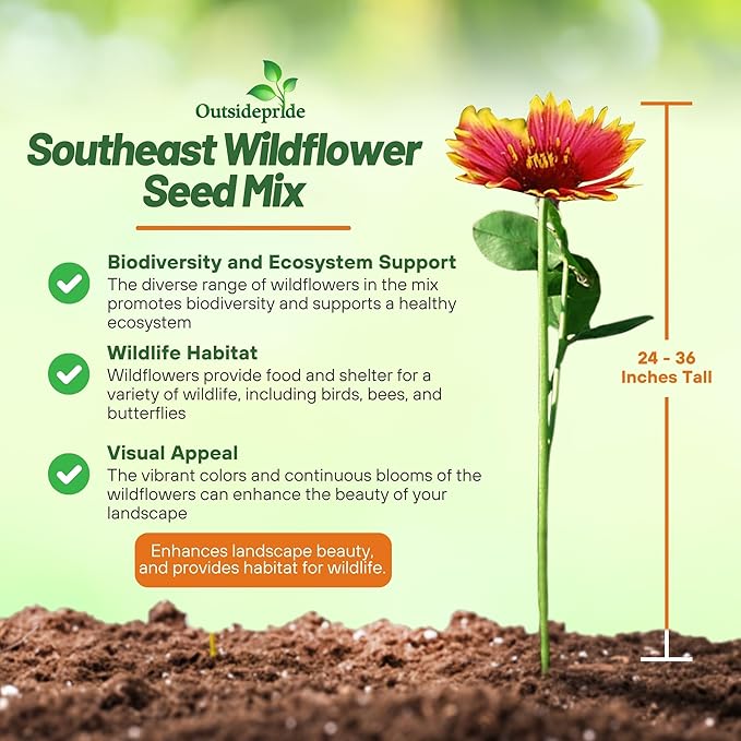Outsidepride Southeast Wildflower Seed Mix - 1/4 lb Highly Adaptable, Easy to Grow, Low-Maintenance Mix of Annual & Perennial Wildflower Seeds for Natural Landscapes in Southeastern States