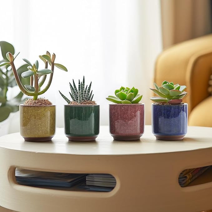 T4U 2.5 Inch Small Ceramic Succulent Planter Pot with Drainage Hole Set of 6, Ice Crack Glaze Plant Container for Cactus, Succulent Plant Gifts for Women Mom Aunt Home Office Decor