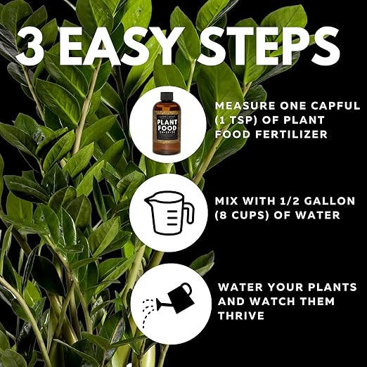 Lush Leaf | Plant Food (Indoor)